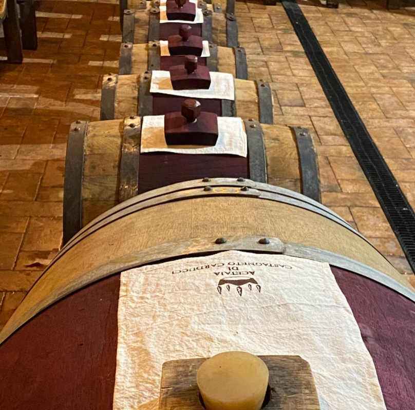 Il Balsamico dell'Acetaia di Castagneto Carducci, un elisir del piacere.